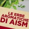 Erbe Aromatiche 2021